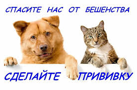 бешенство 2